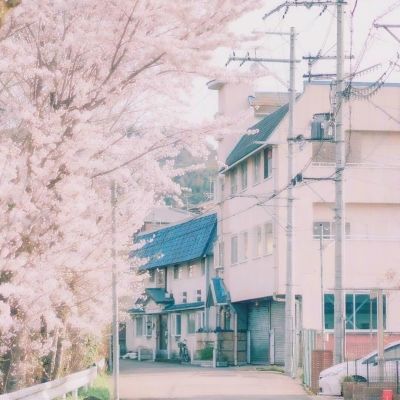 全民抢貂蝉手游下载